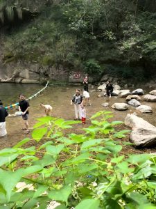 凝心聚力 砥砺前行丨居礼律所夏日团建圆满结束